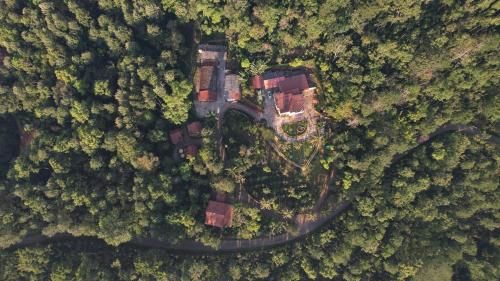 Experience-led Coffee Estate Trail