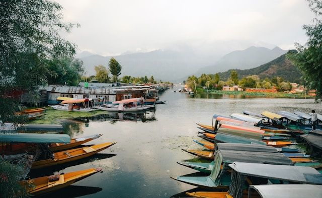 Dal Lake & Shikara Ride