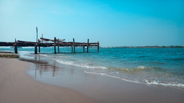 Fort Kochi + Chinese Fishing Nets Area  