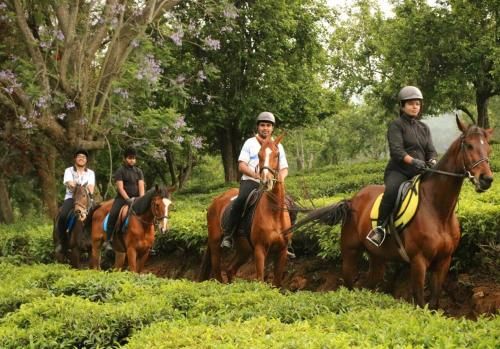 Couples Ooty Getaway