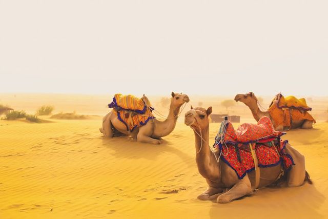 Jaisalmer highlight