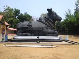 The giant Nandi bull statue