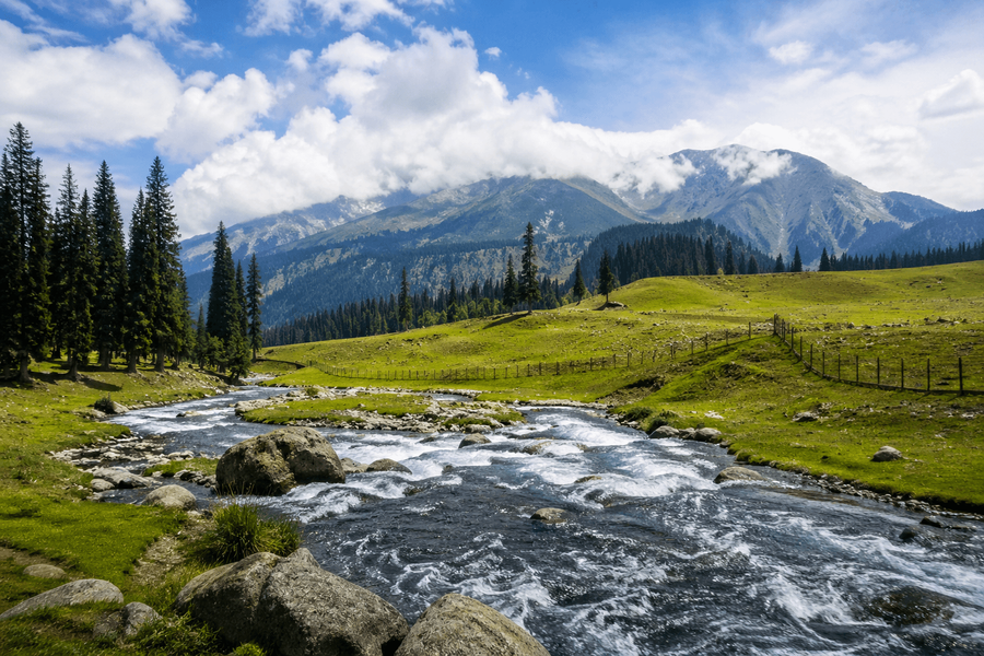 Yusmarg Meadow & Doodh Ganga