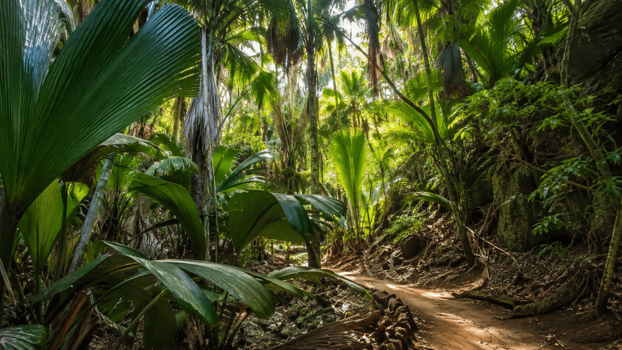 Praslin highlight
