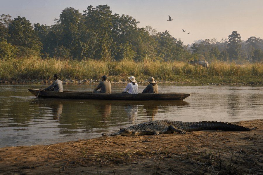 Chitwan National Park highlight