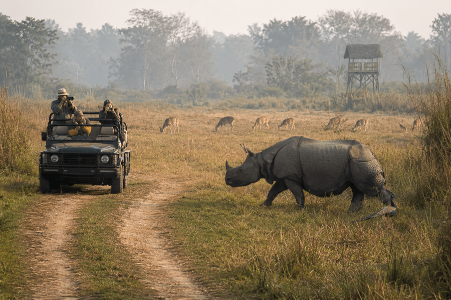 Chitwan National Park highlight