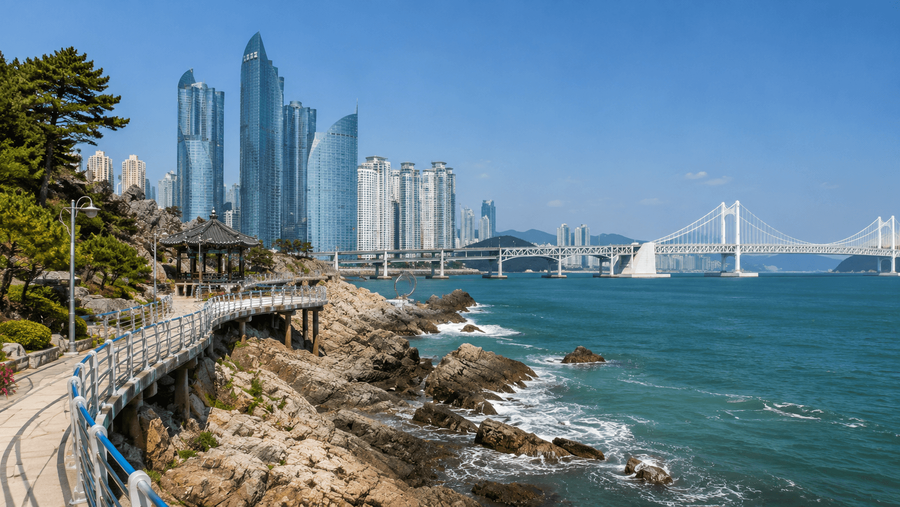 Busan highlight