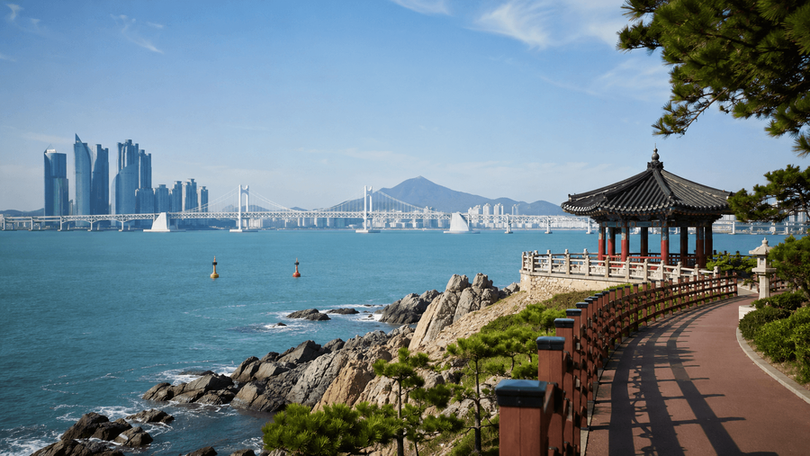 Busan highlight