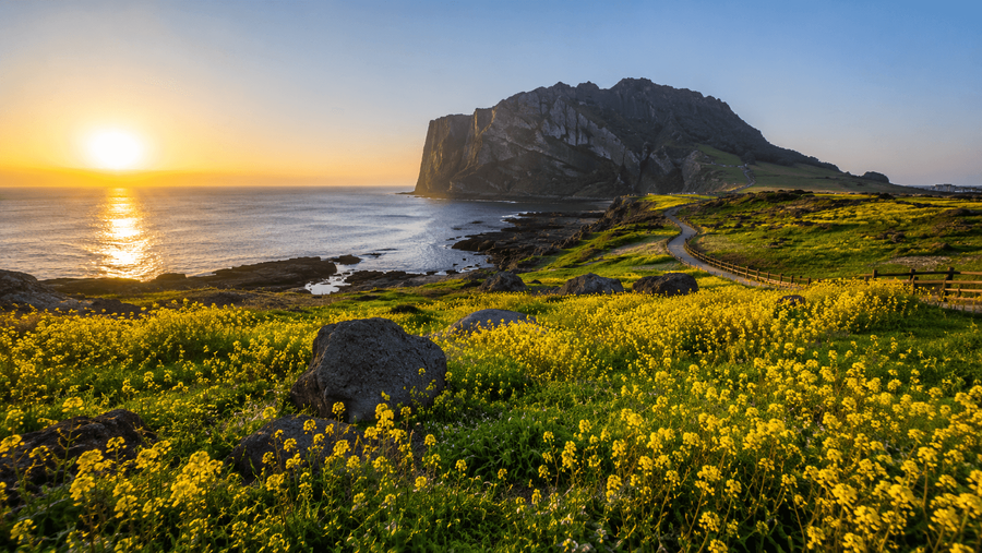 Jeju Island highlight