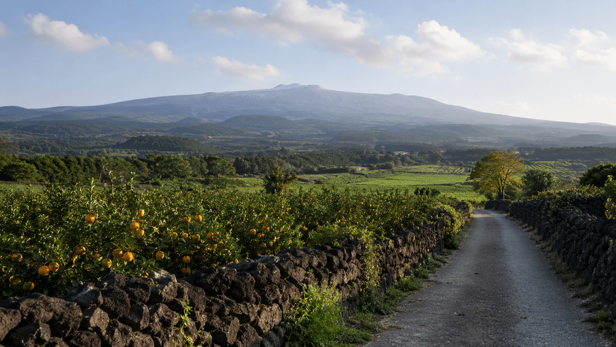 Jeju Island