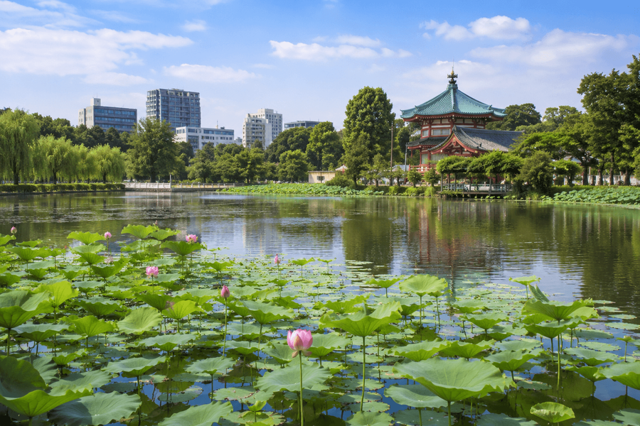 Shinobazu Pond and Bentendo Temple