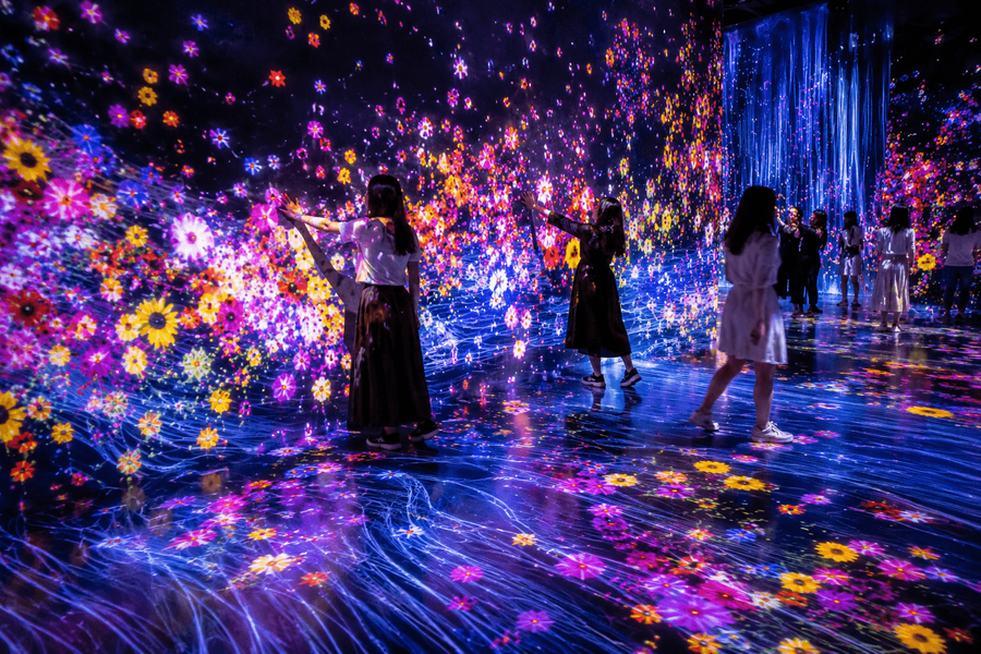 Immersive Digital Art Installations