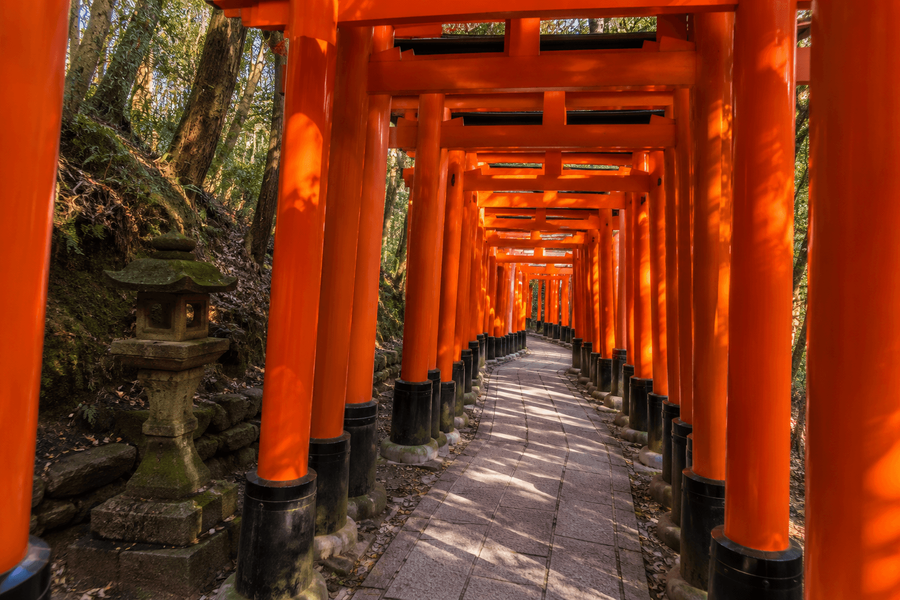 Fushimi Inari Shrine Hike