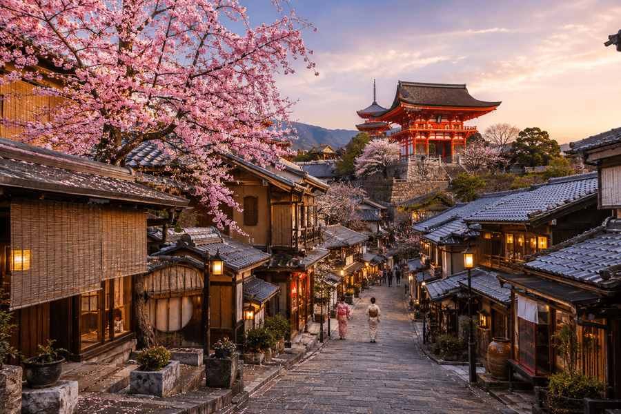 Seasonal Beauty and Historic Streets
