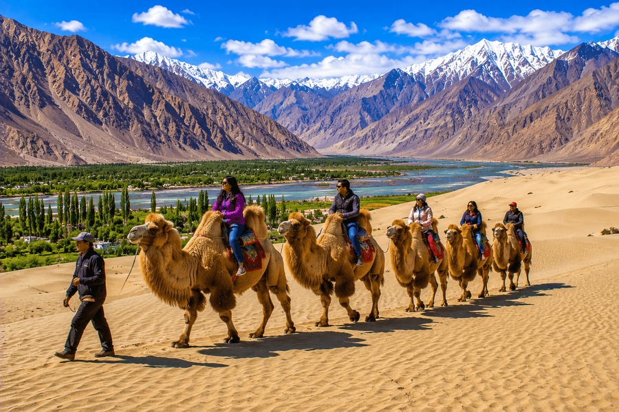 Hunder Sand Dunes and Bactrian Camels