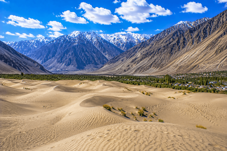 Spectacular Desert and Mountain Contrast