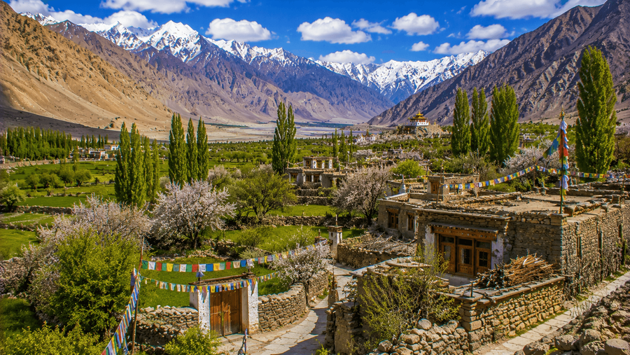Nubra Valley highlight