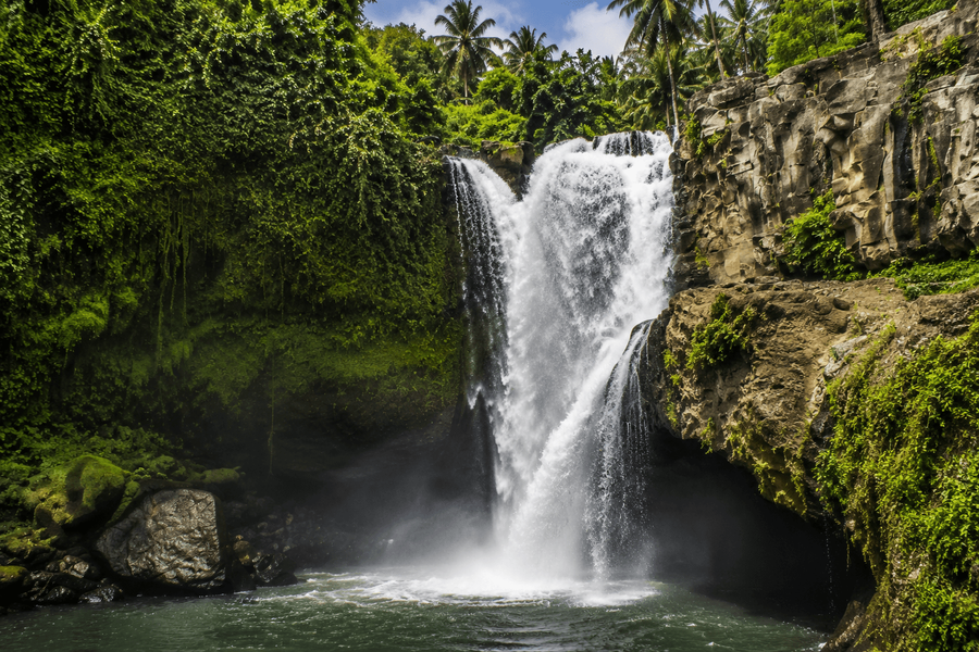 Powerful Jungle Waterfall