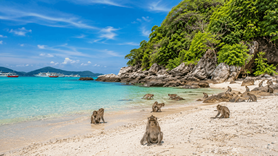 Pattaya highlight