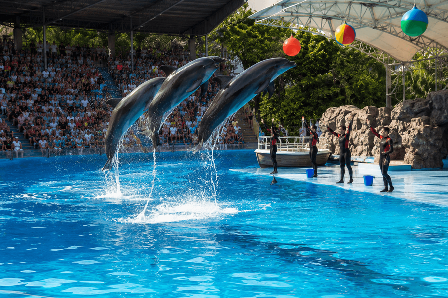 Marine Park