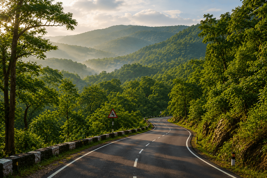 Drive Through the Nallamala Forests