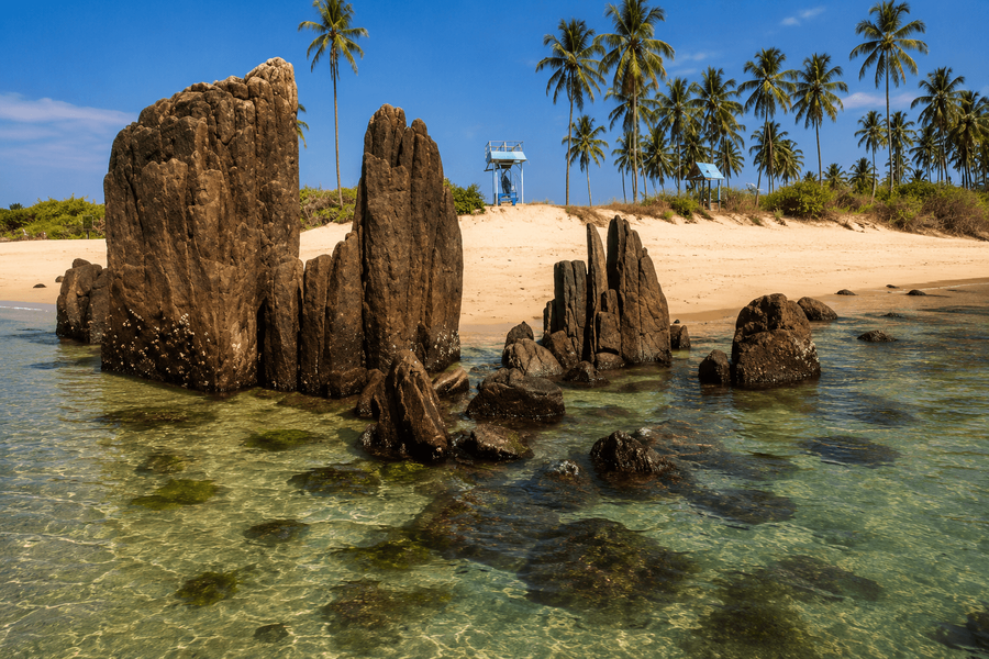 Vasco da Gama Landing