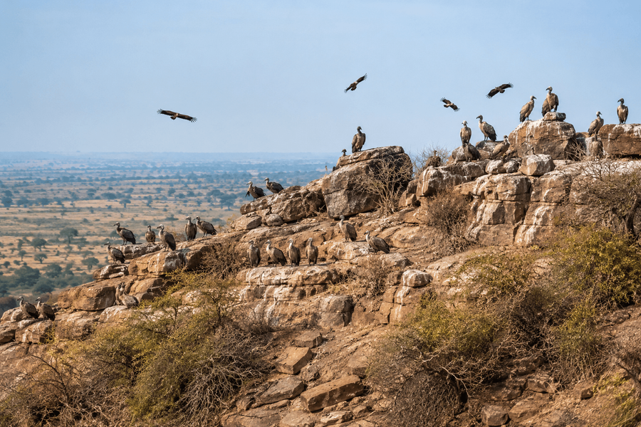 How Ramnagara became a hub for adventure activities near Bangalore