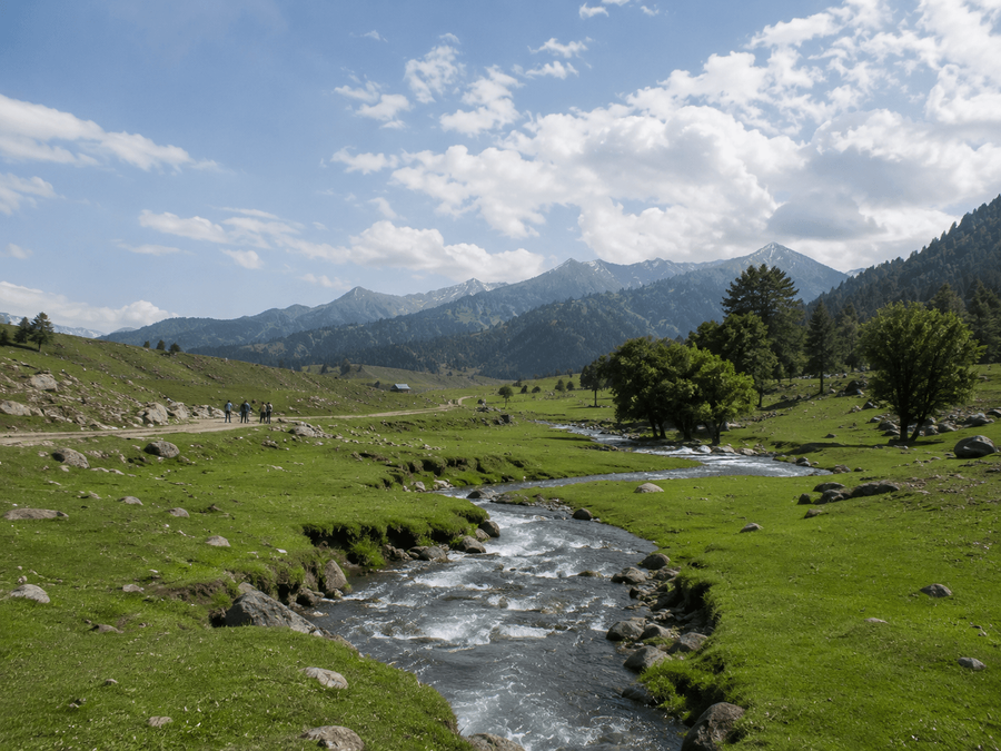 Doodhpathri Meadows 