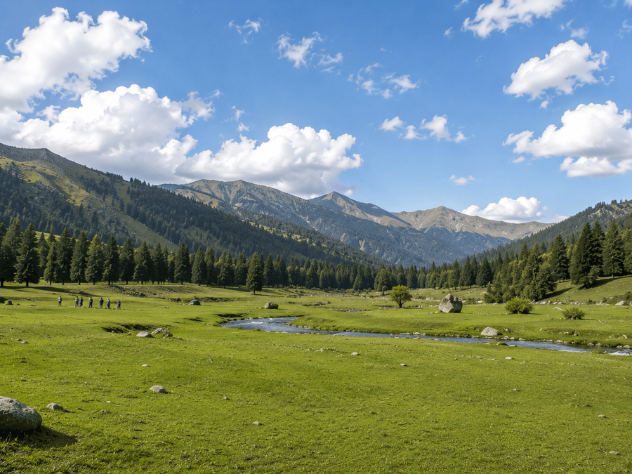 Open meadow panoramas