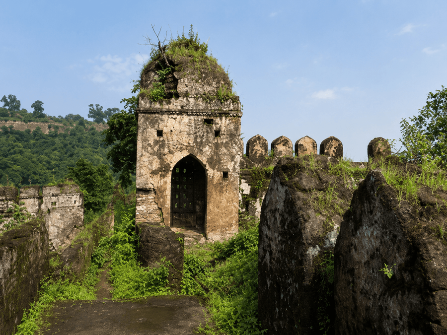 Palamau Forts