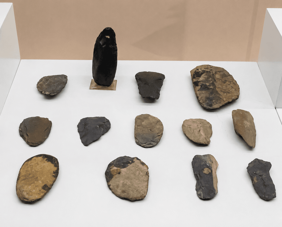 Paleolithic Tool Collection