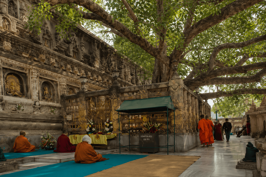 Mahabodhi Temple & Bodhi Tree