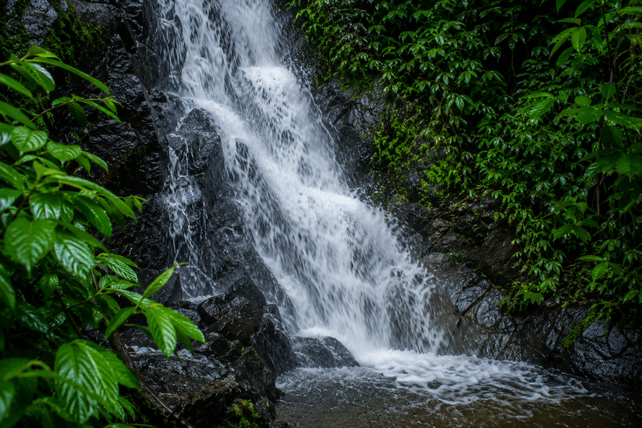 Agumbe highlight