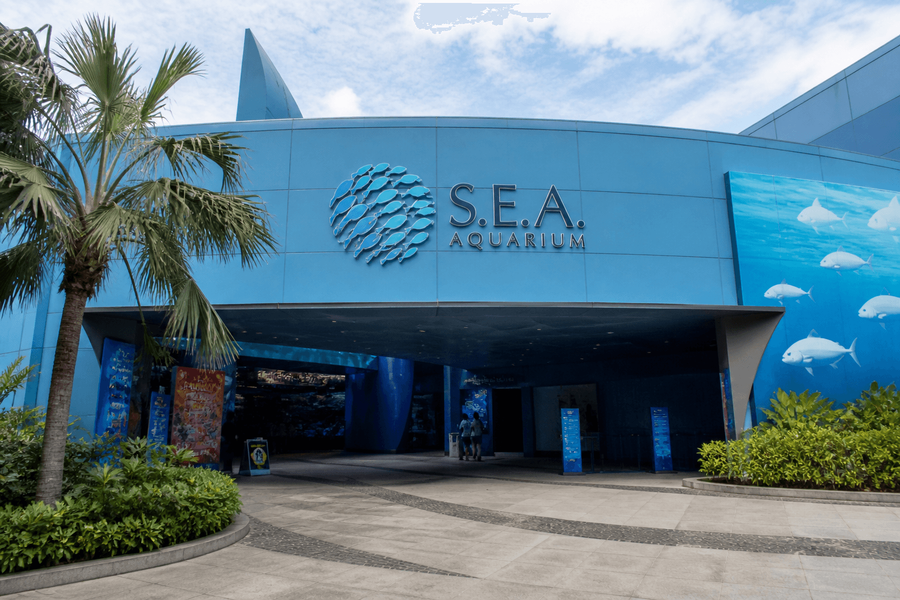 S.E.A. Aquarium