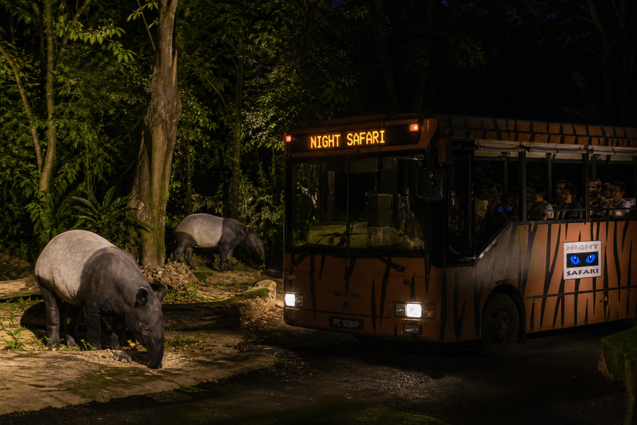 Singapore Night Safari