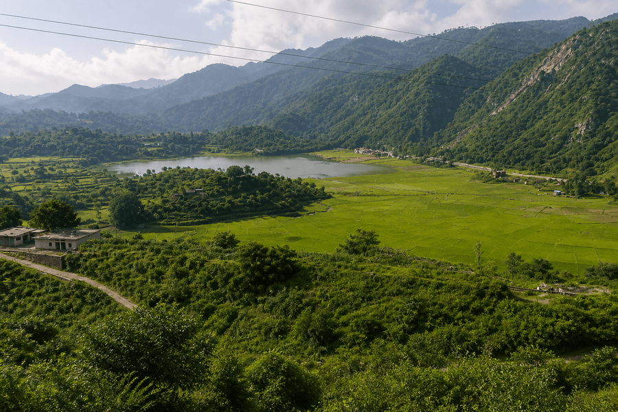 Panoramic Viewpoint