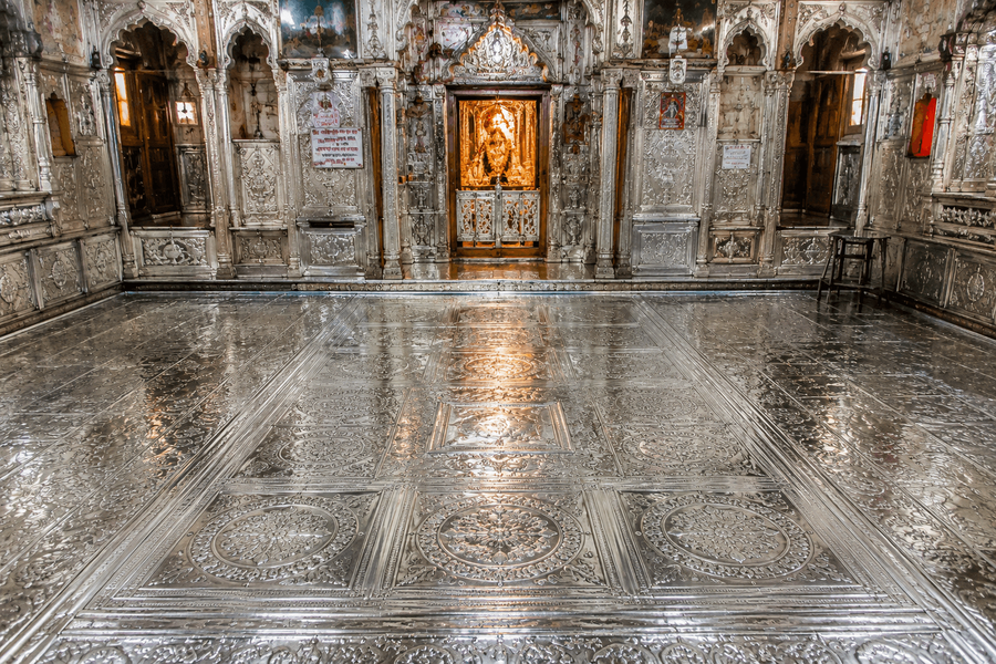 Silver Turtle Floor