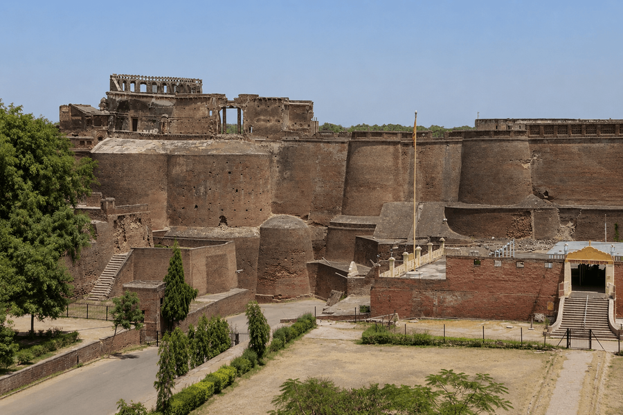 Patiala highlight