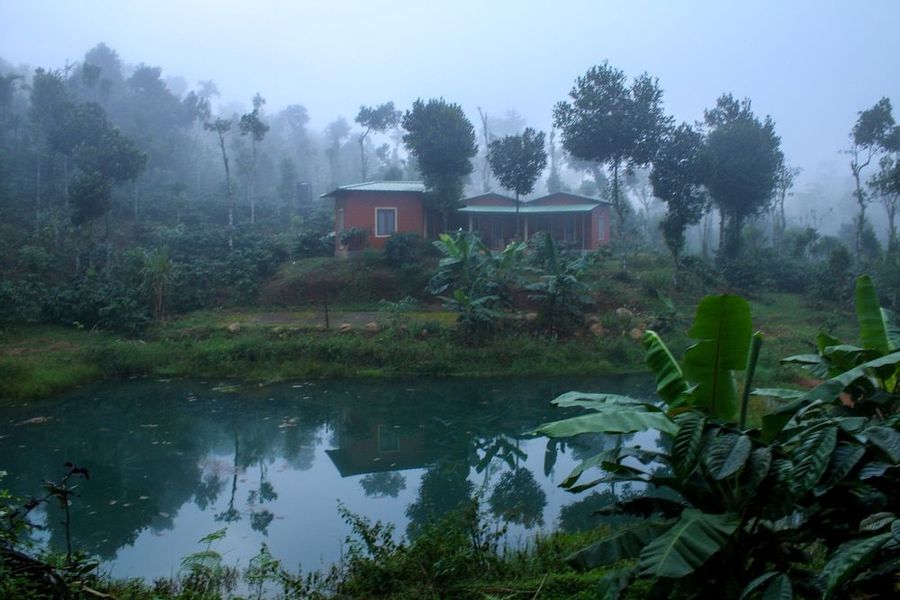 Pocket-Savvy Coorg Package