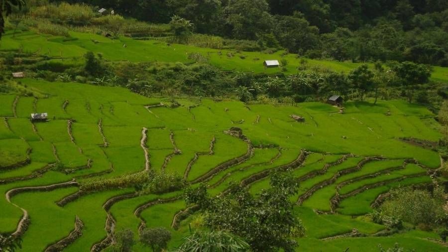 Step inside Asia's First Green Village - Khonoma Village, Where Conservation and Culture go hand-in-hand