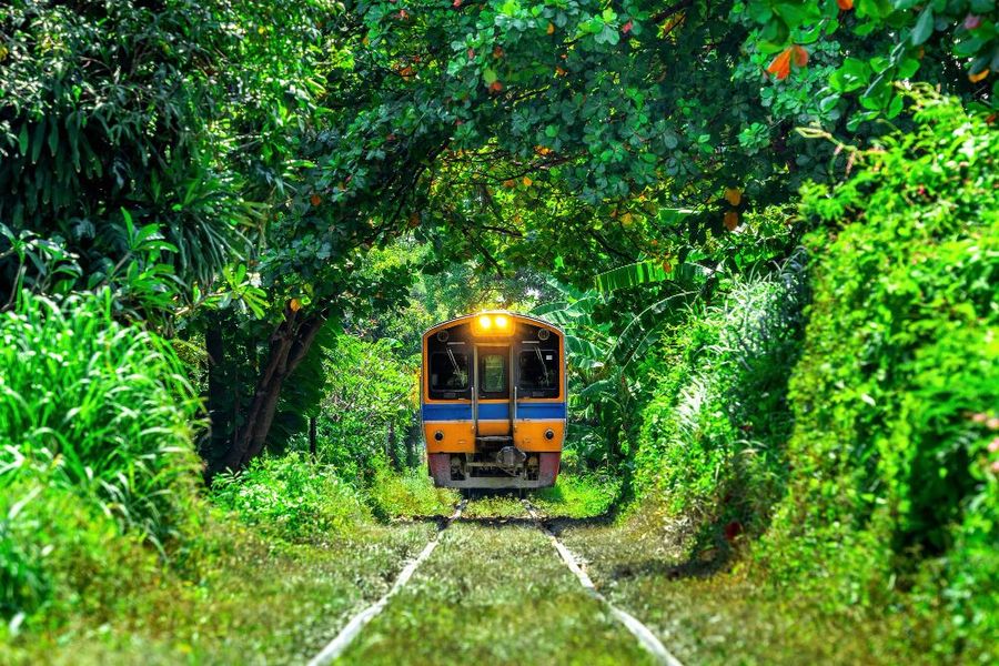 Sri Lanka When Trains, Tea Hills, and Coastlines Align
