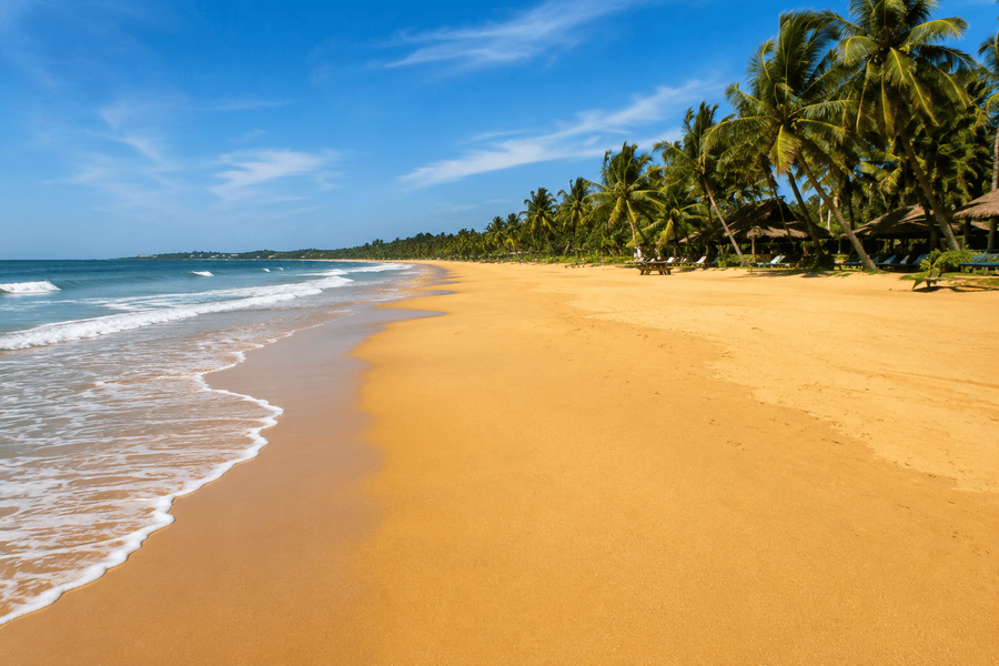 Golden sand shoreline
