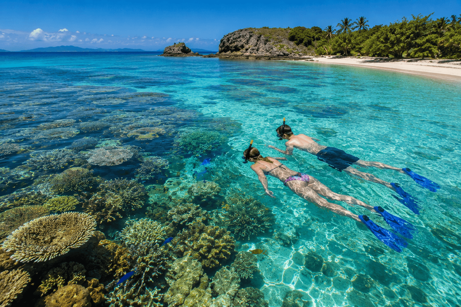 Coral snorkeling