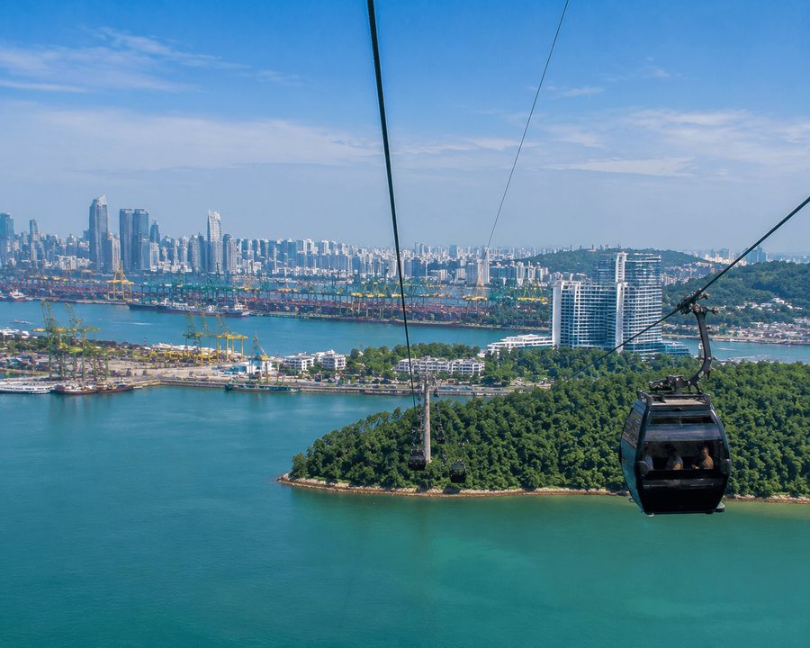 Harbour and skyline views