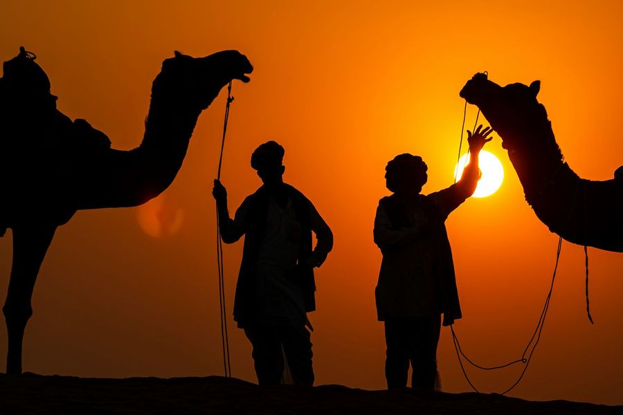 Pushkar highlight