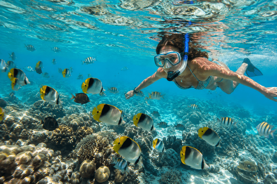 Marine life encounters