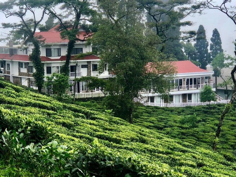 Experience Led Darjeeling Tea Trail