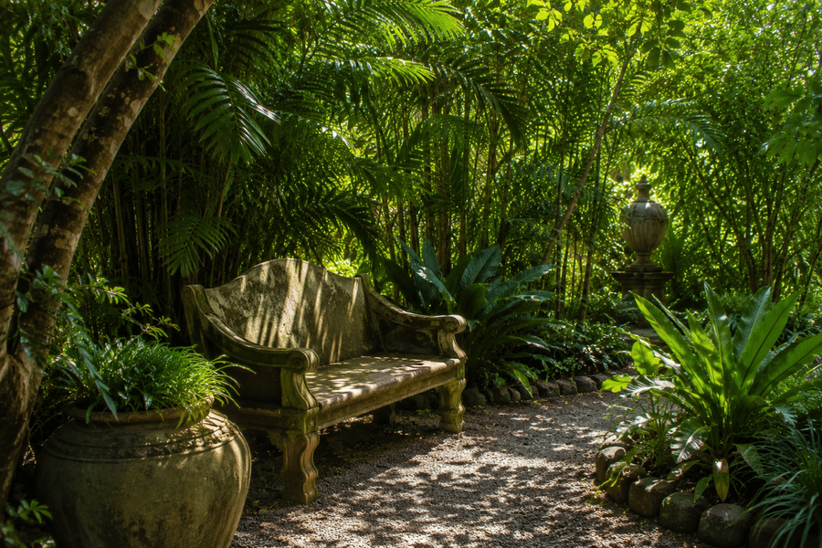 Shaded garden corners