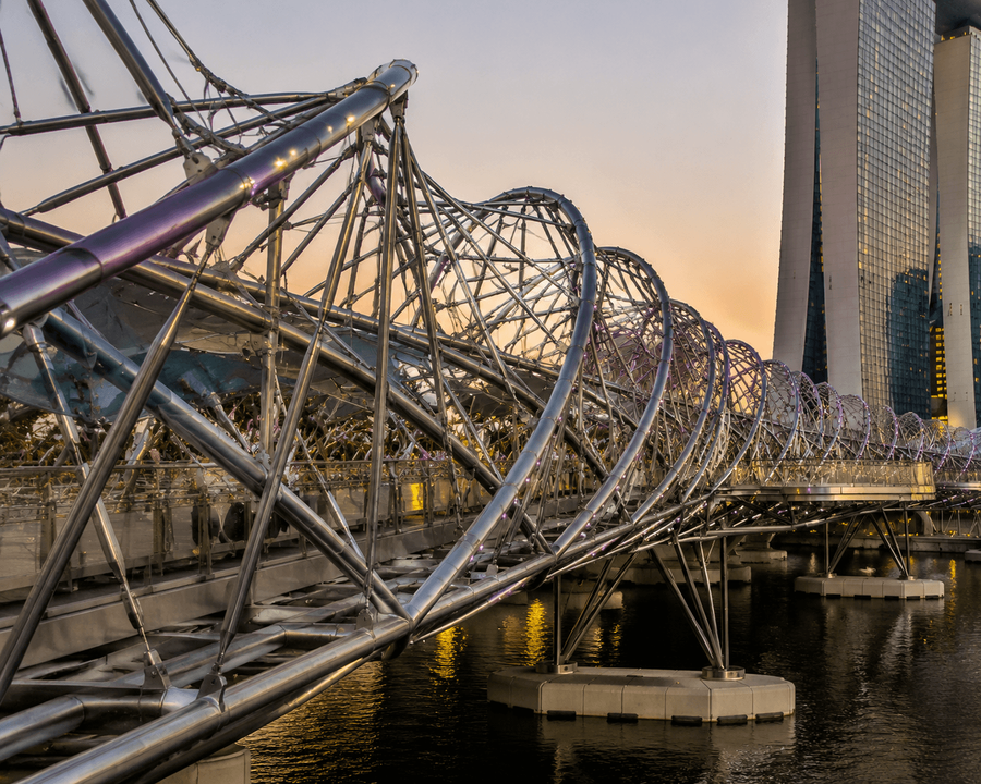 The double helix structure