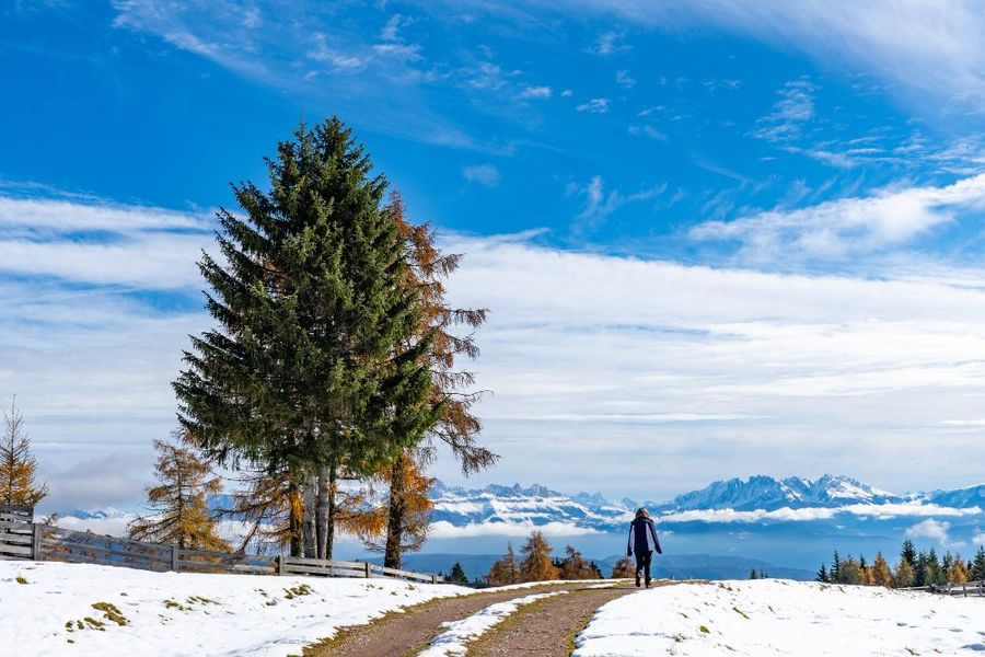 Is Himachal in January Peaceful or Just Quiet for the Wrong Reasons?